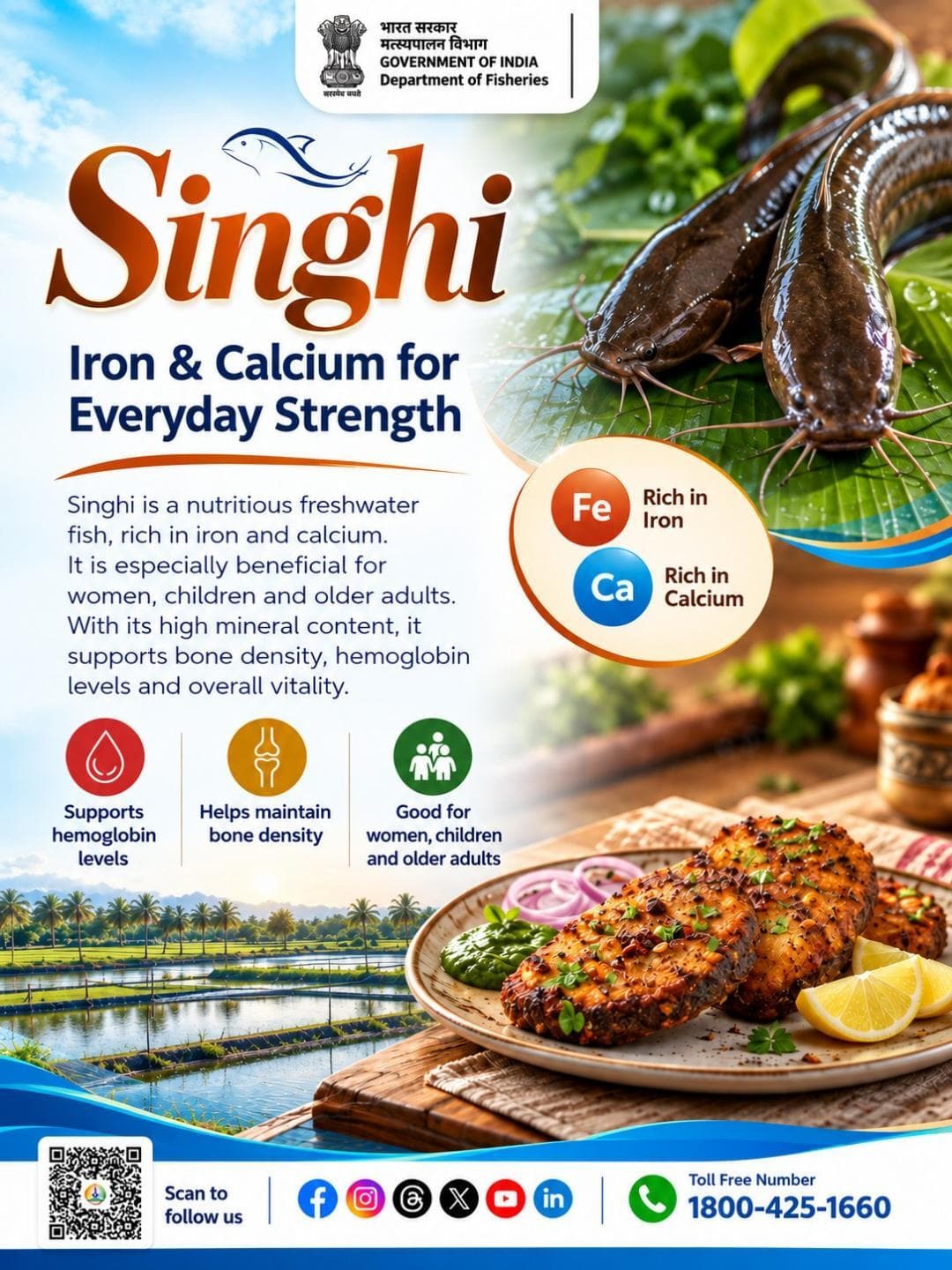 Singhi fish — a nutritious choice that combines taste with essential nourishment.