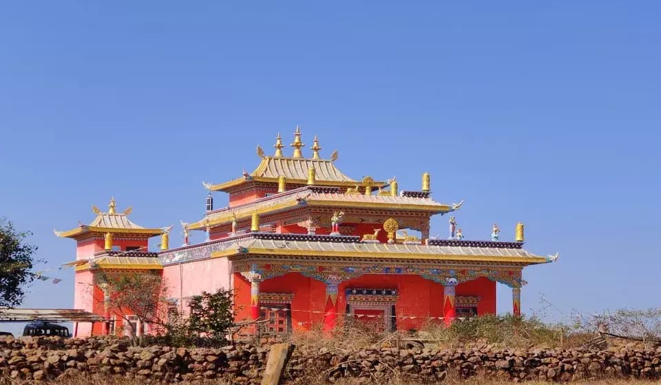 Surguja