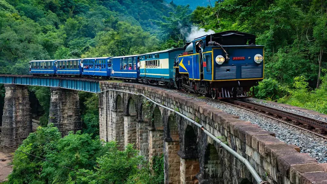 The Nilgiris