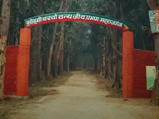 Maharajganj